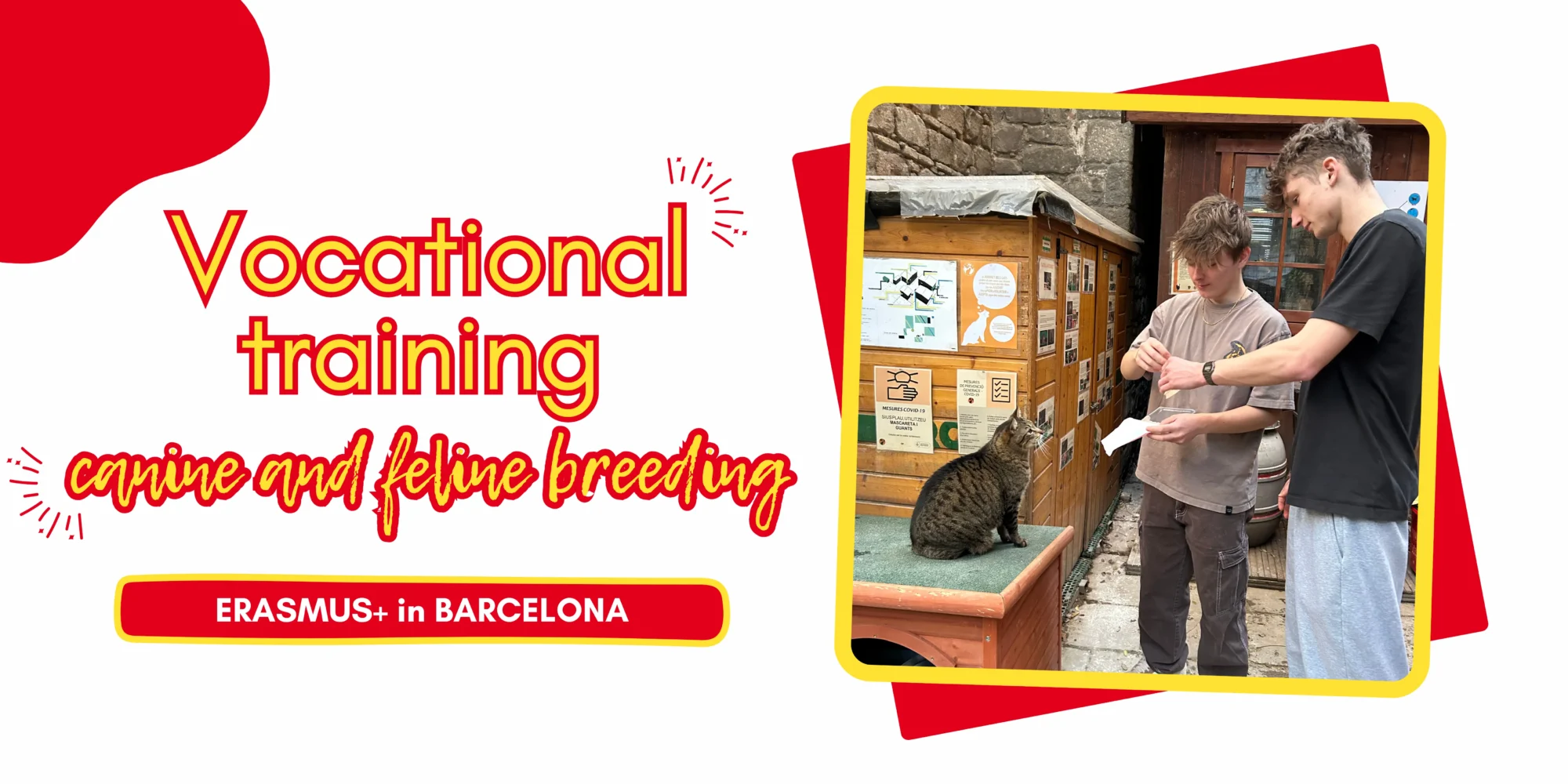 Vocational Baccalaureate in Canine and Feline Breeding on an ERASMUS+ internship in Barcelona