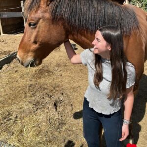 horse internship spain horse care erasmus+ intern spain