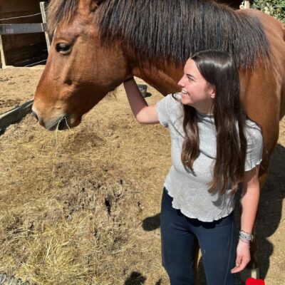 horse internship spain horse care erasmus+ intern spain