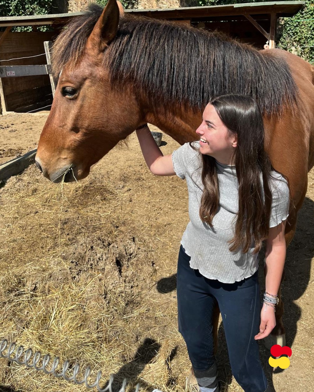 Alumno Erasmus+ en pr&aacute;cticas con caballos